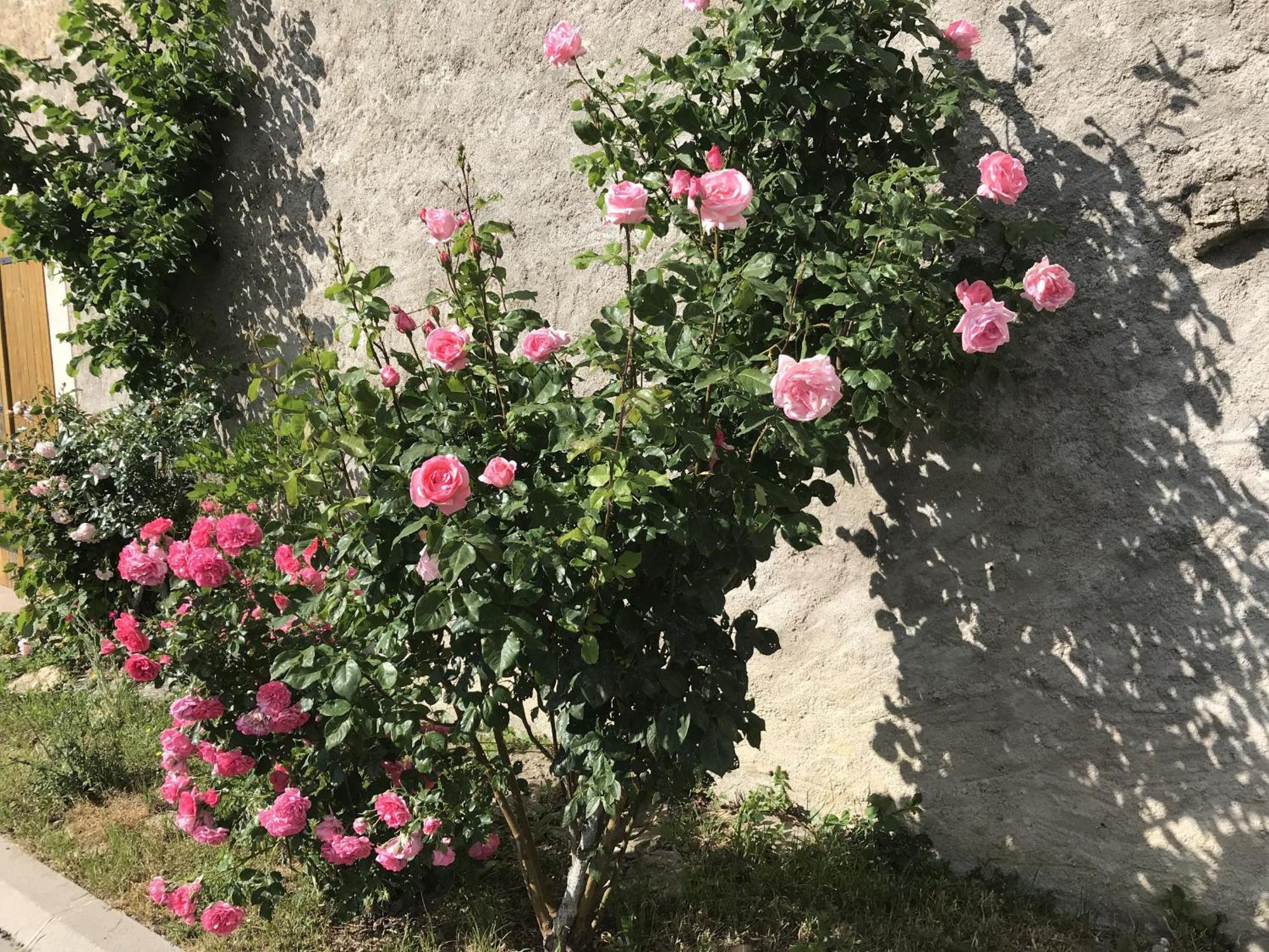 Gite Renove Avec Jardin, Proche Loisirs Et Commerces, A Une Heure De Nancy Et Metz - Fr-1-584-168 Autrepierre Екстер'єр фото